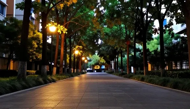 创新人才指数